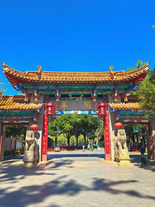 昆明·翠湖公園｜城市中的一片靜謐綠洲
