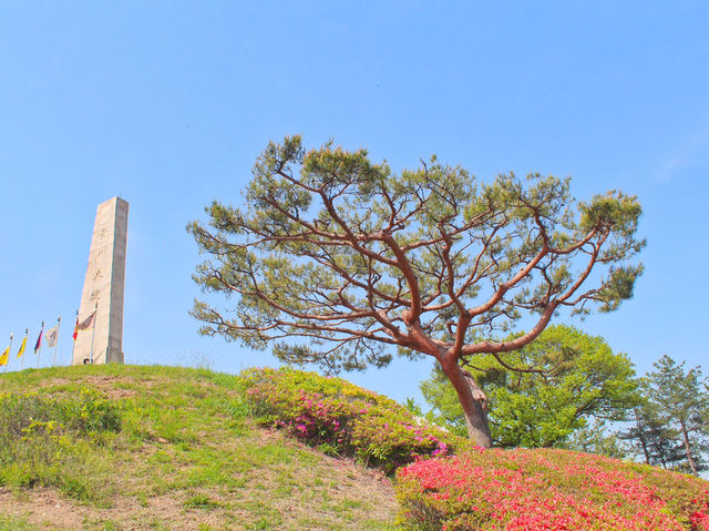 💛서울 가까운 곳, 고양시 야외 나들이 추천, 행주산성💛