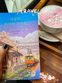 Spring Outing in Seoul: Picnics, Cafés & Blooms! 
