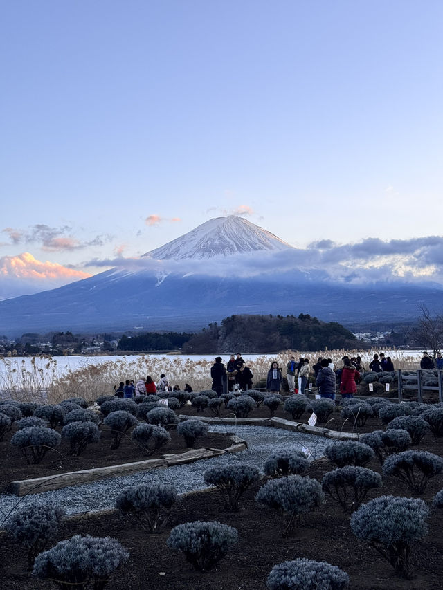 Mount Fuji ~ unlocked my bucket list 🎉