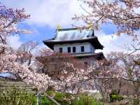 【北海道】函館屈指の桜の名所「松前福山城」跡
