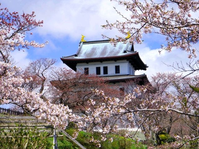 【北海道】函館屈指の桜の名所「松前福山城」跡