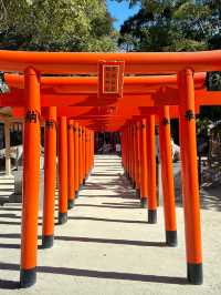 博多神社一日遊：祈福與文化的交織之旅⛩️✨