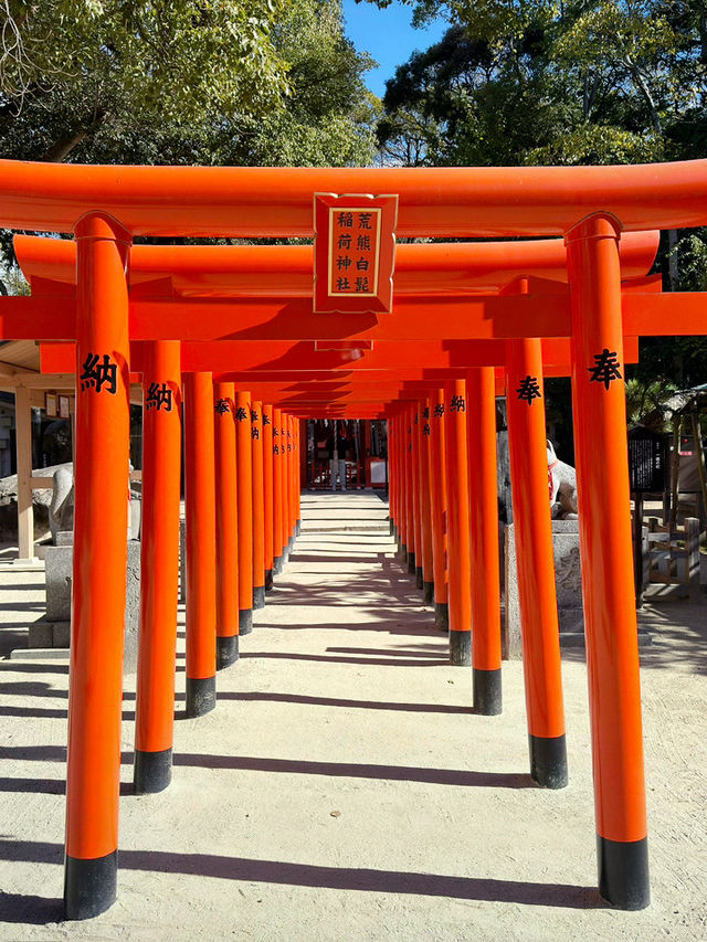 博多神社一日遊：祈福與文化的交織之旅⛩️✨