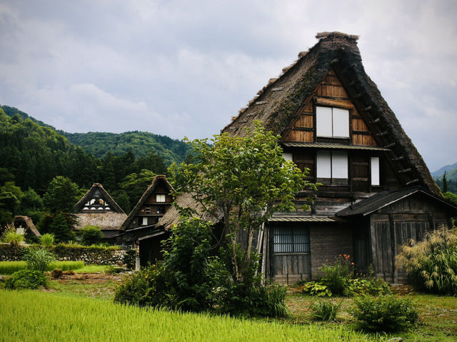 白川鄉合掌村：彷彿走進童話世界的日本秘境