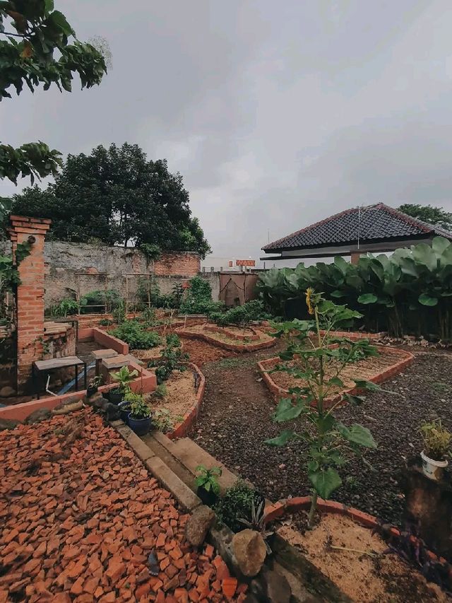GEMASIH KOPI
