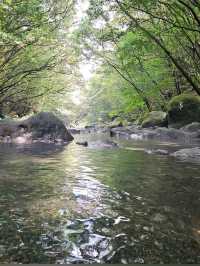 Donnaeko Valley (돈내코 계곡)