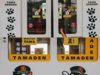 นั่งรถไฟน้องแมว เที่ยวเมือง Wakayama Kansai 