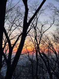 Sunset & City Lights: A Perfect Moment at N Seoul Tower 🌇