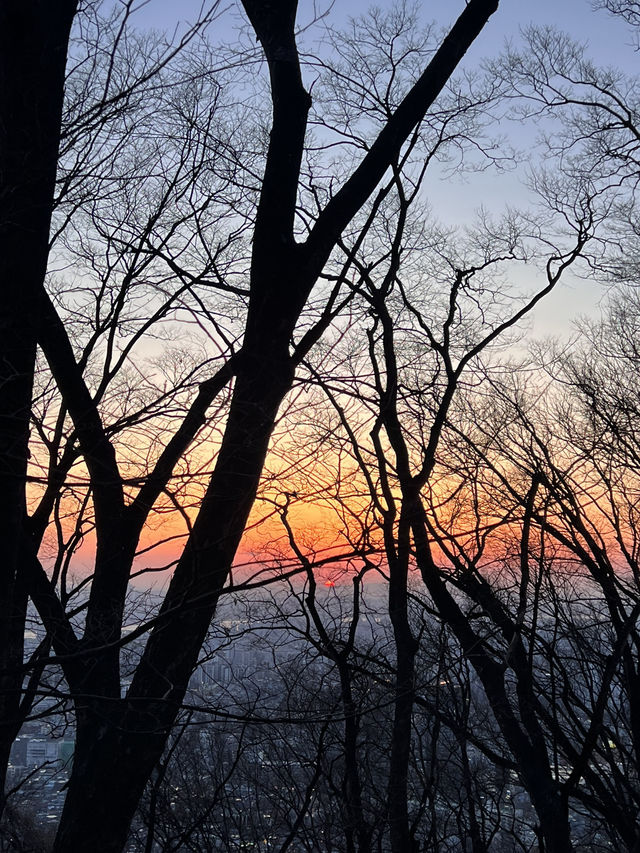 Sunset & City Lights: A Perfect Moment at N Seoul Tower 🌇