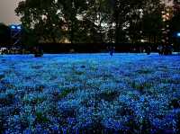 แสงสี ท่ามกลางธรรมชาติ ยามค่ำคืน ณ โอซาก้า