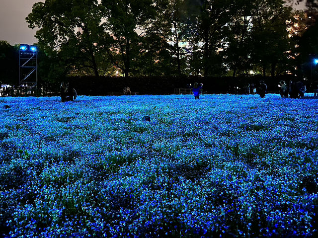 แสงสี ท่ามกลางธรรมชาติ ยามค่ำคืน ณ โอซาก้า