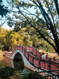 Green landscapes at Longtan Park