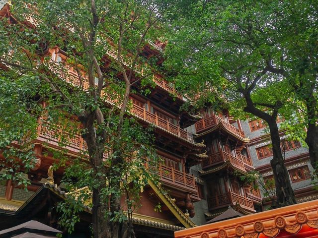 A Spiritual Retreat: Visiting DaFoSi Buddhist Temple in Guangzhou
