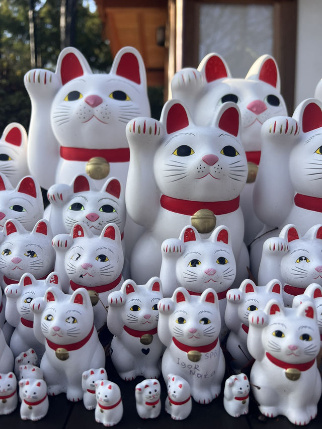 東京豪德寺 