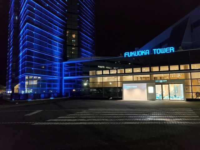 [🇯🇵福岡] ももち浜と福岡タワーの夜の姿