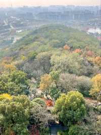 Dongshan Park: A Serene City Escape