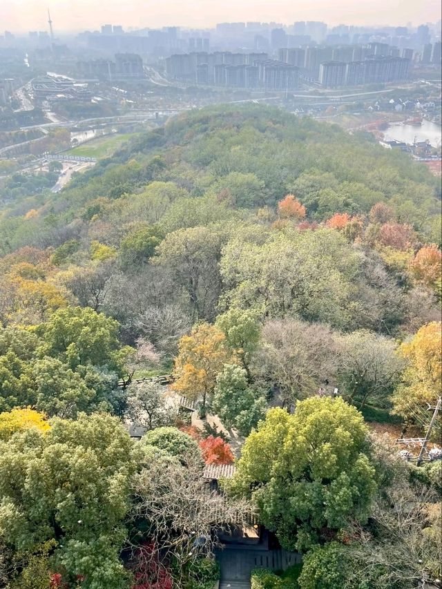Dongshan Park: A Serene City Escape