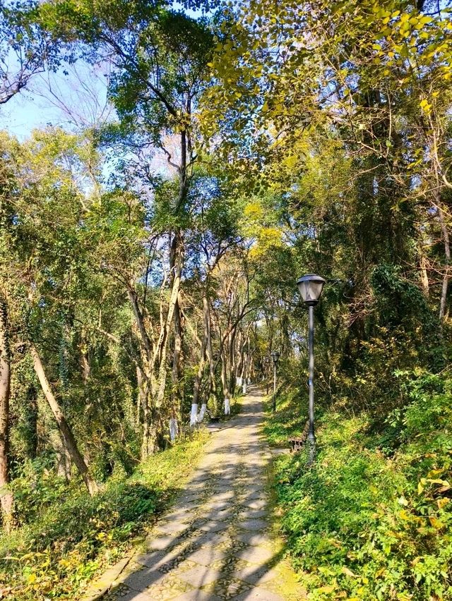 Yangming Park: A Scenic Stroll with a View