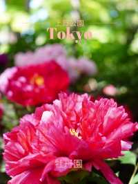 【東京×上野】