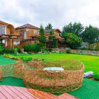 ที่พักเขาค้อ Cirrus Valley Hill 