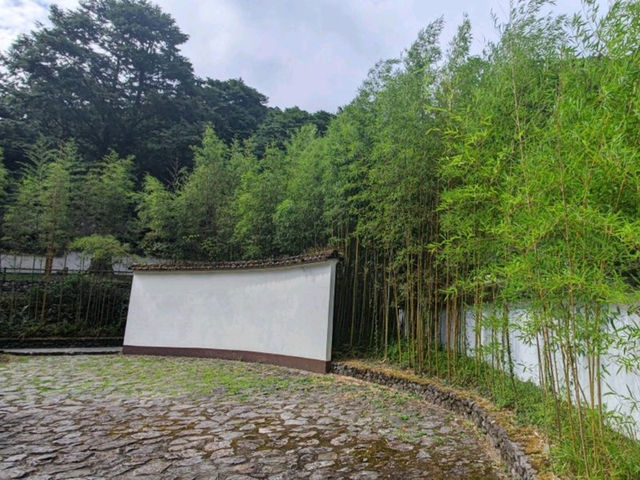 #明池國家森林遊樂區-宜蘭縣大同鄉