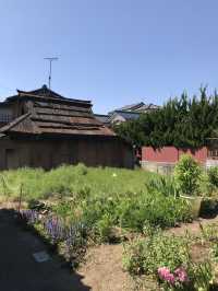 【青岸寺の苔の庭で深呼吸をしませんか。滋賀県　米原市 】
