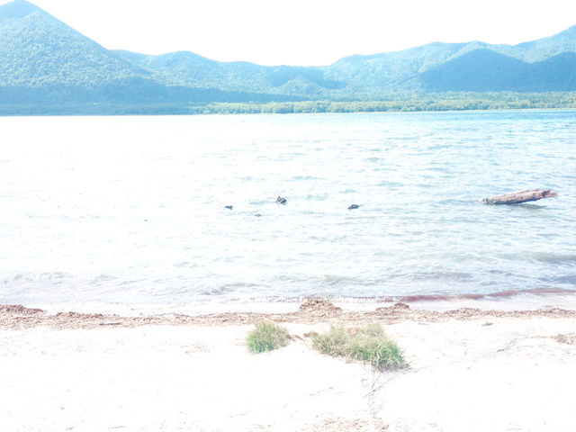 【青森　涼風が通り抜ける霊場・恐山、カルデラ湖の宇曽利湖と下北半島　大間崎　仏ヶ浦での日没】