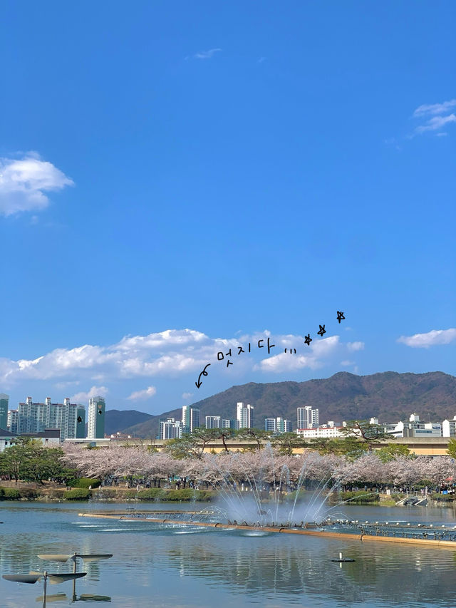 벚꽃과 튤립을 동시에 볼 수 있는 공원 추천🌸🌷