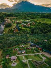 ไปนอนที่พักวิวดอยหลวงเชียวดาวด้วยกันมั้ย⛰️🌷🫶🏻