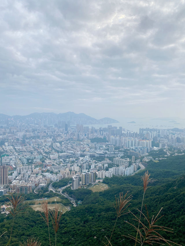 獅子山的日與夜，看不膩的百萬夜景🌃