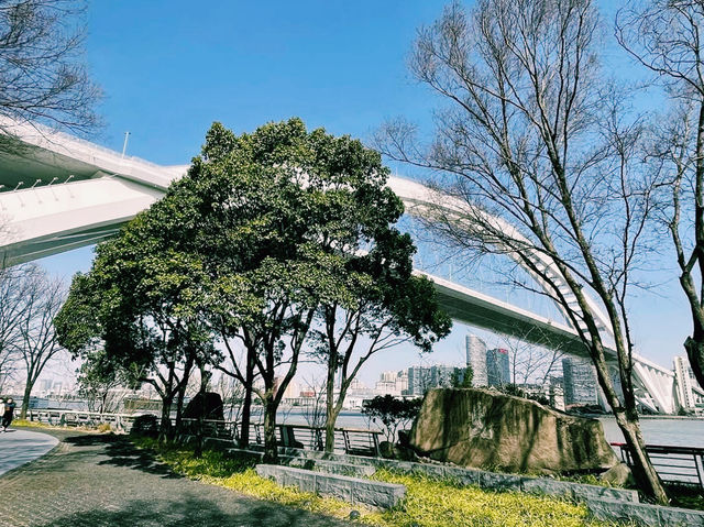 🇨🇳:上海 黄浦江を眺めるロマンチックな散策路🌆🚶‍♀️