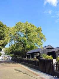แวะเชคอินHinoki Village หมู่บ้านญี่ปุ่นที่ Chiayi 