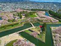 2025函館賞櫻必去景點