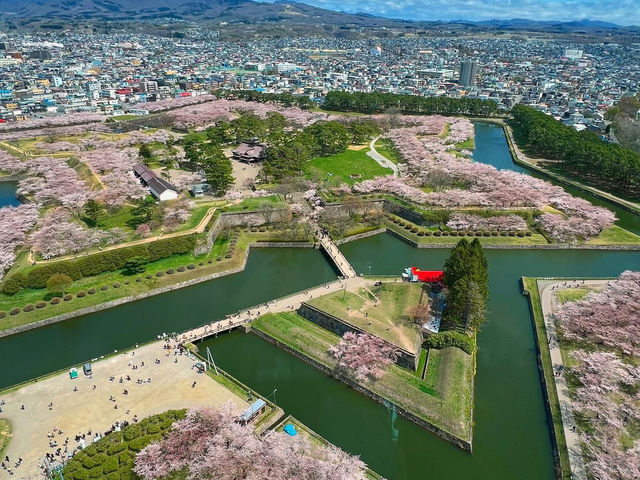 2025函館賞櫻必去景點