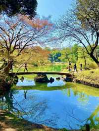 Spring Stroll at Rikugien Garden