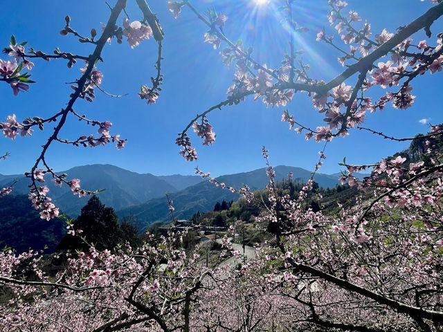 白蘭部落（五峰鄉）
