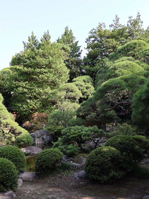 大正モダンが香る隠れ家、山本亭でひと息