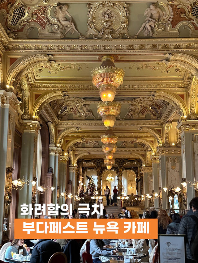 화려함과 웅장함의 극치☕️ 부다페스트 뉴욕 카페