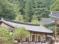 🌿 구례 천은사, 지리산 품에 안긴 고요한 쉼터