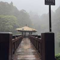 祝山觀日步道 Zhushan Sunrise Trail