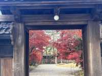 【安楽寺と六華苑｜和と洋の美に触れる三重の名所めぐり】