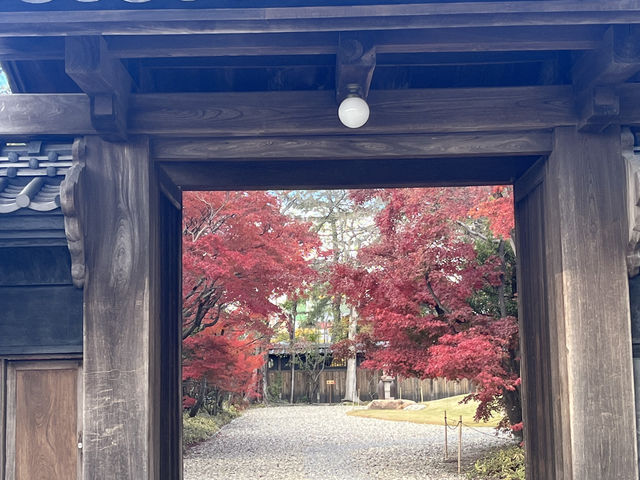 【安楽寺と六華苑｜和と洋の美に触れる三重の名所めぐり】