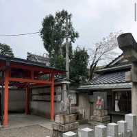 Maruyama Park, Kyoto