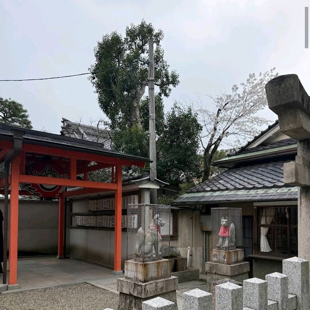 Maruyama Park, Kyoto