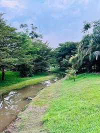 “Taman Wawasan: Where Nature Leads the Way”