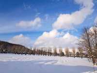 北海道旅遊🥳參觀富田農場😍免費任玩迷你雪兜場🤣刺激好玩🥰欣賞大自然雪景❄️
