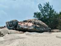 Tanjung Pelindung’s Rocky Canvas – A Tribute to Sea Turtles