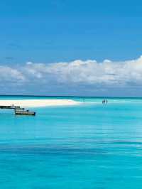 Ocean Dreams: Dive into the Maldives Experience