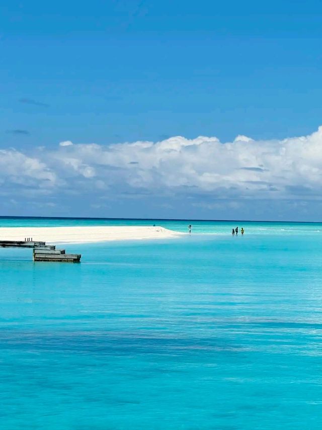 Ocean Dreams: Dive into the Maldives Experience
